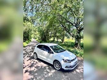Used Volkswagen Polo 2016 for sale - 79115639: Photo