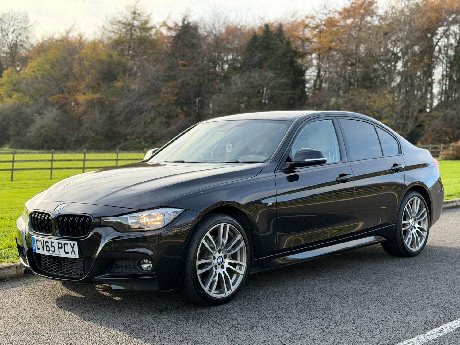 Used BMW 3 Series 2015 for sale - 76715537: Photo 17