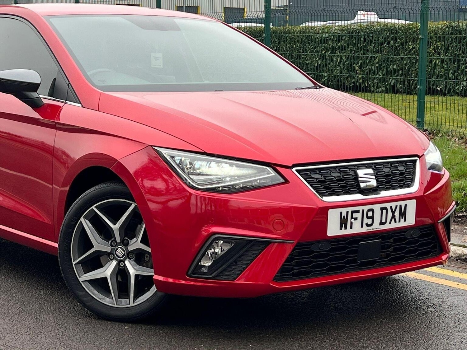 Used SEAT Ibiza 2019 for sale - 77796901: Photo 3