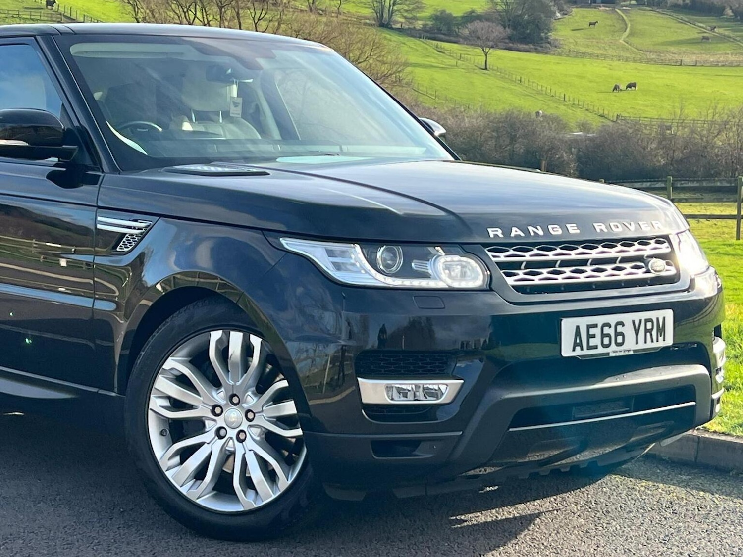 Used Land Rover Range Rover Sport 2016 for sale - 77264421: Photo 3