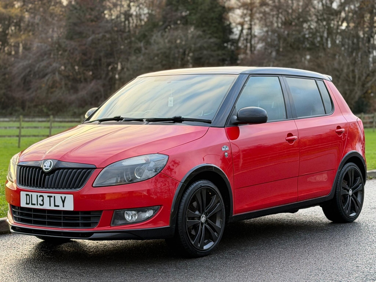 Used Skoda Fabia for sale - 76689935: Photo 13