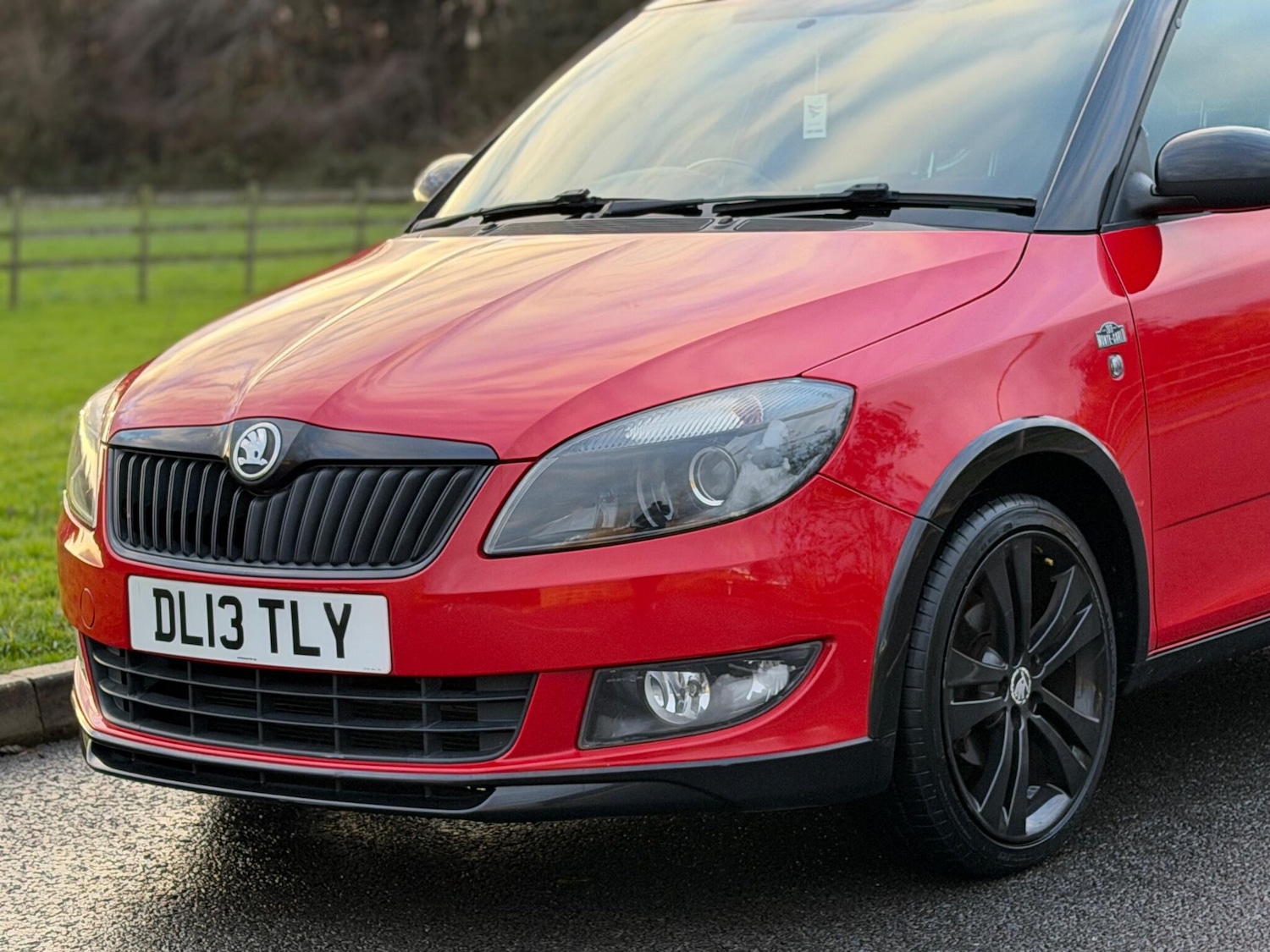 Used Skoda Fabia for sale - 76689935: Photo 14