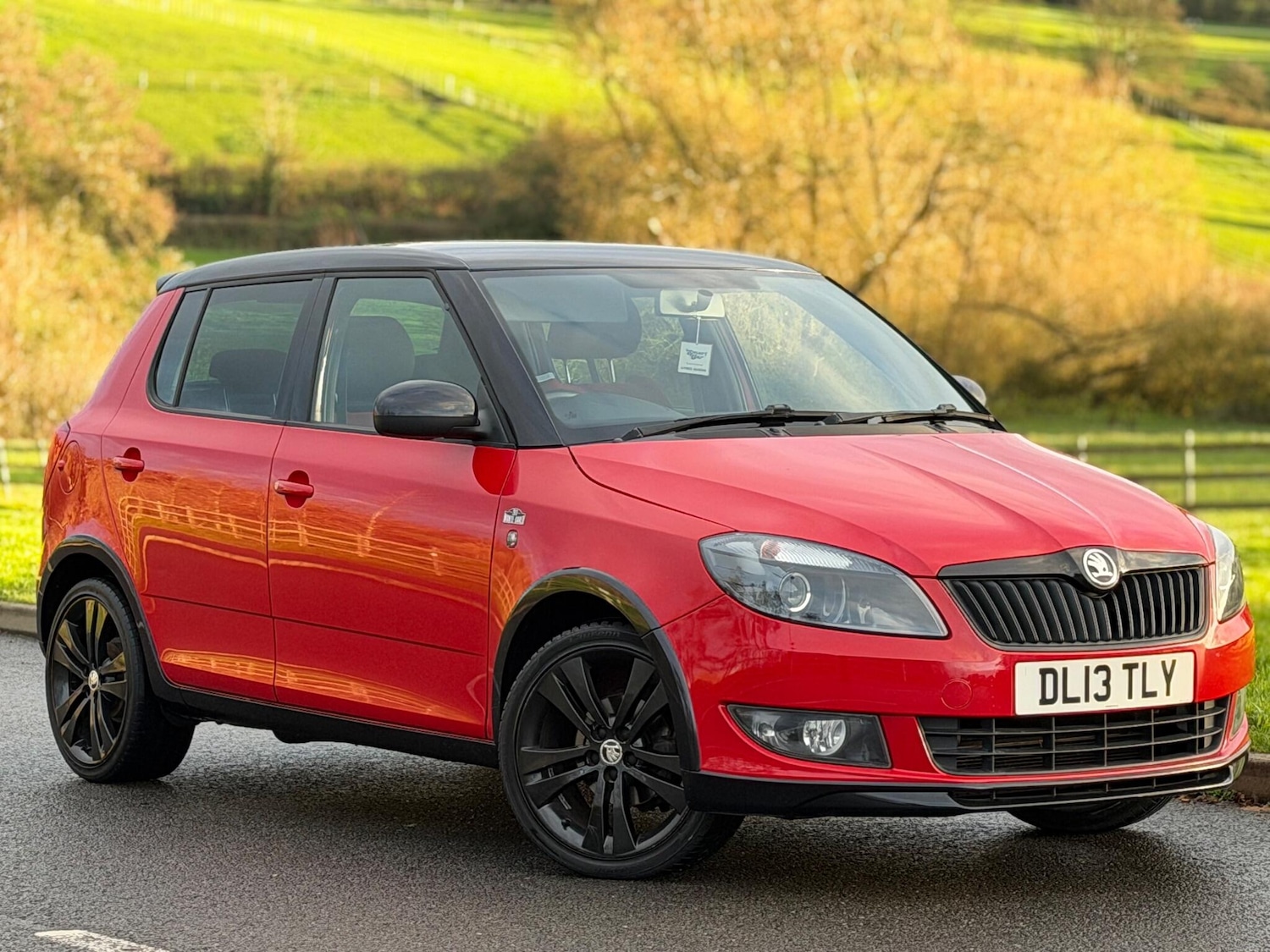 Used Skoda Fabia for sale - 76689935: Photo 33