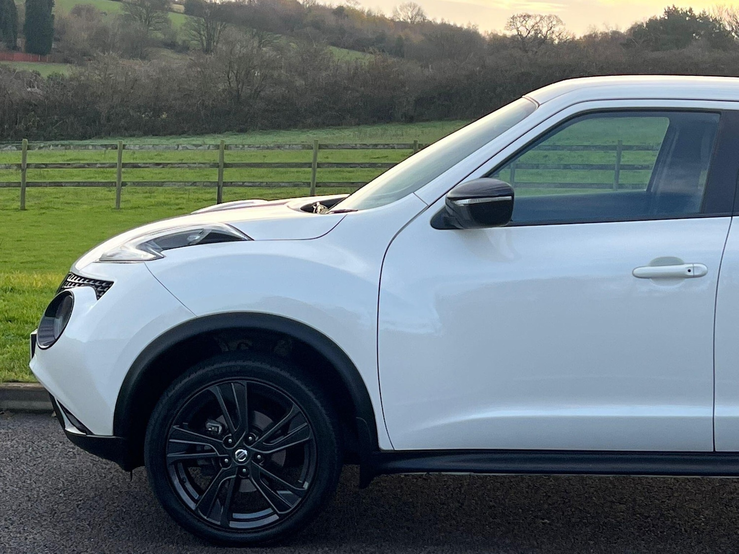 Used Nissan Juke 2017 for sale - 76786803: Photo 9