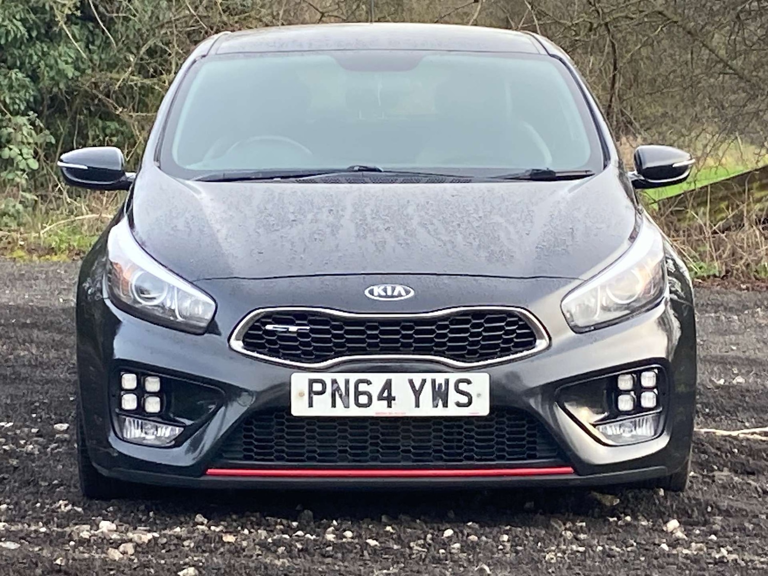 Used Kia Pro Ceed 2015 for sale - 77558179: Photo 3