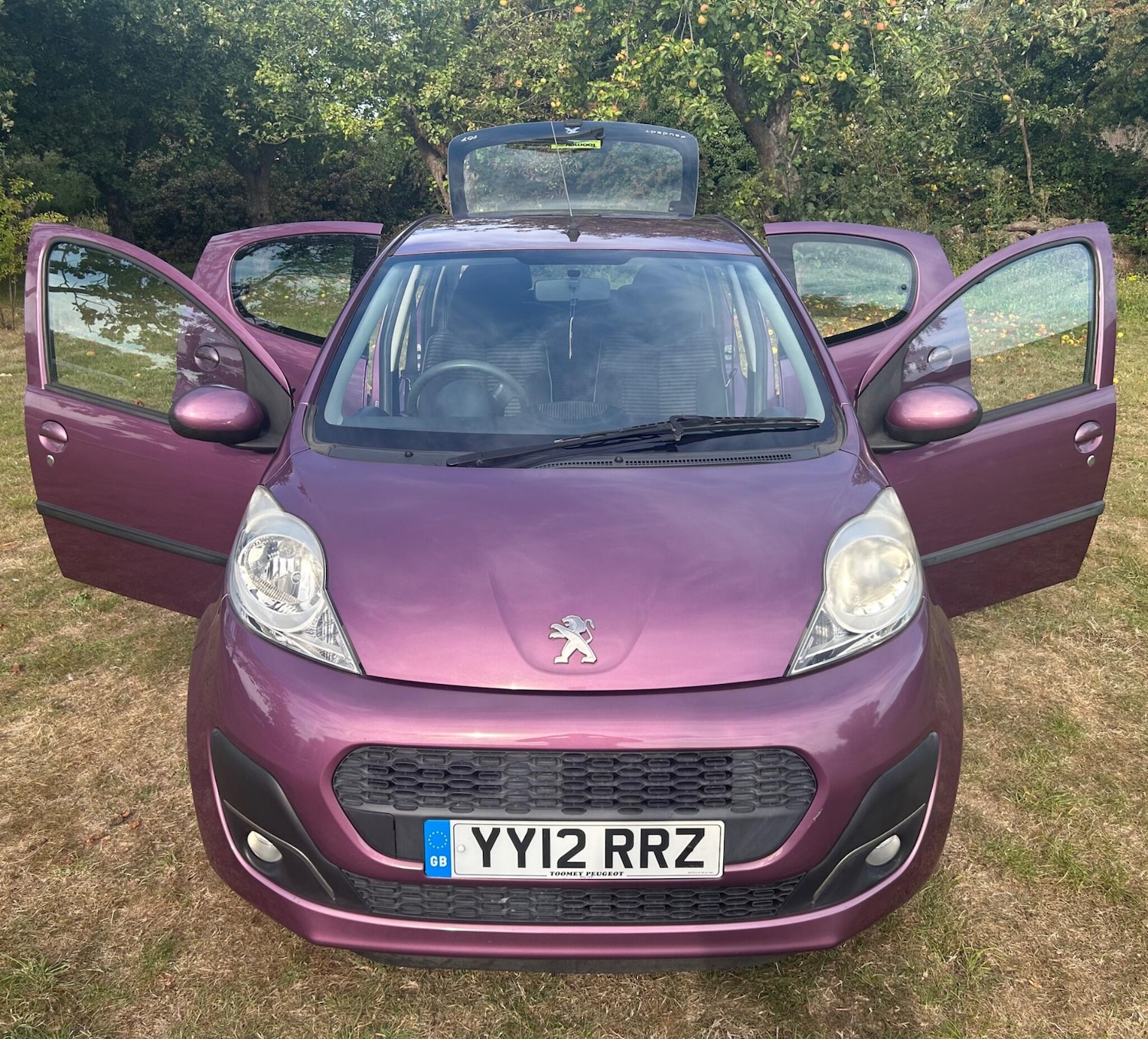 Vehicle 6