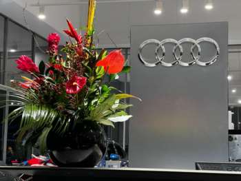 Used Audi Q3 2024 for sale - 75388243: Photo