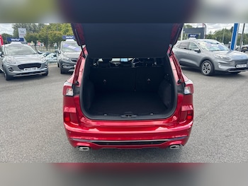 Used Ford Kuga 2020 for sale - 75556021: Photo