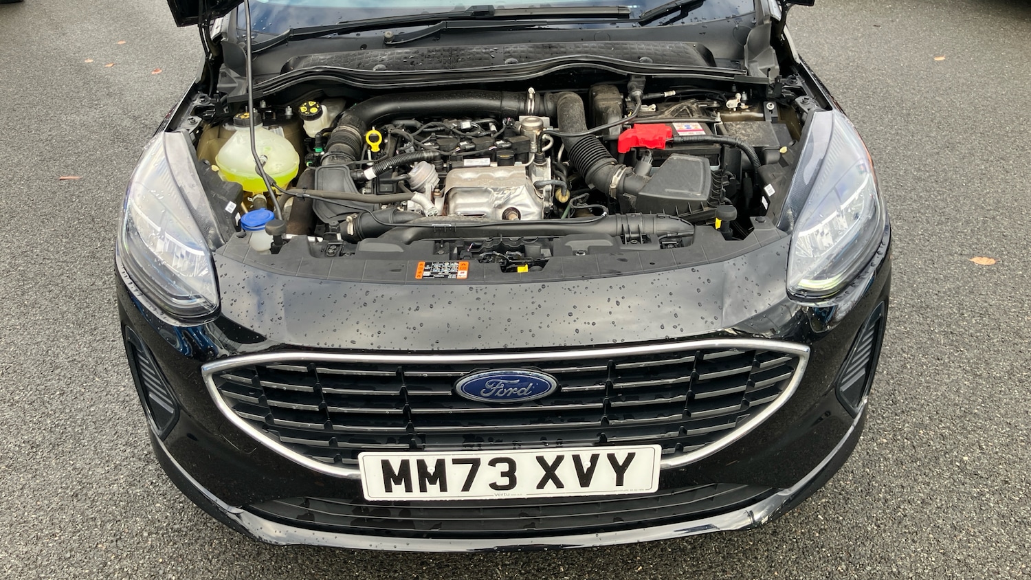 Used Ford Fiesta 2023 for sale - 76490448: Photo 8