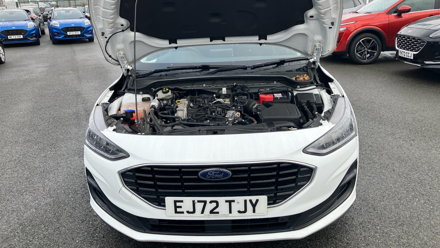 Used Ford Focus 2022 for sale - 77732991: Photo 8