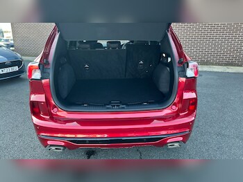 Used Ford Kuga 2023 for sale - 77763330: Photo