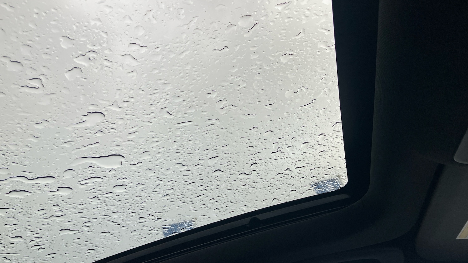 Used Ford Kuga 2022 for sale - 77179453: Photo 36