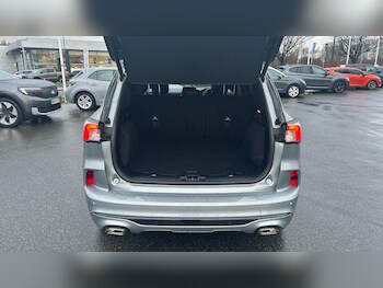 Used Ford Kuga 2022 for sale - 77474597: Photo