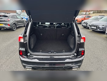 Used Ford Kuga 2023 for sale - 77864523: Photo