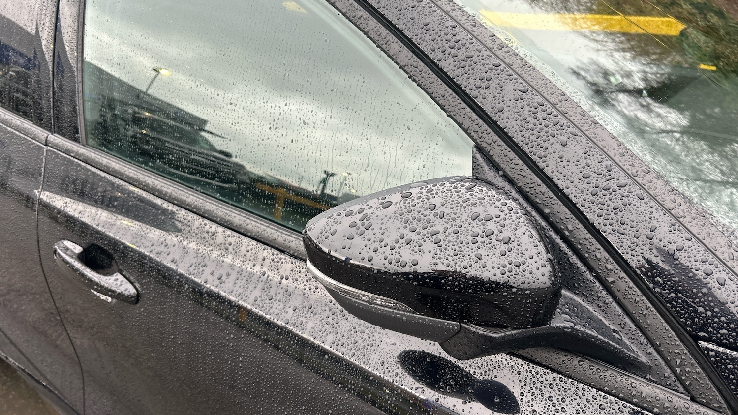 Used Ford Focus 2024 for sale - 77761731: Photo 22