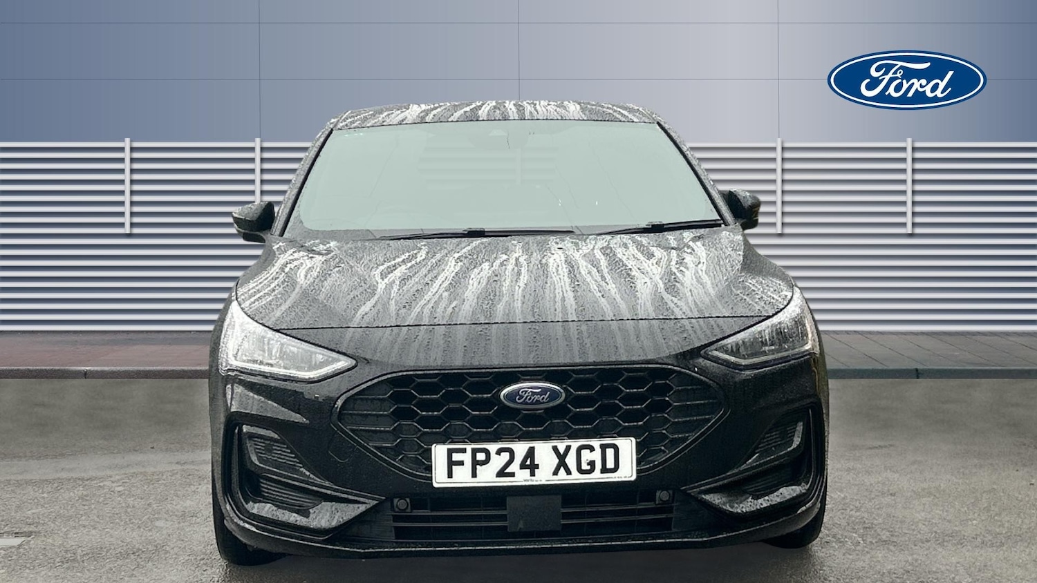 Used Ford Focus 2024 for sale - 77761731: Photo 3