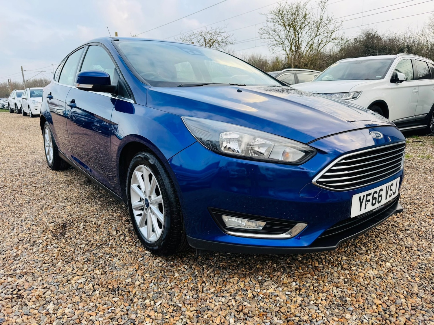 Used Ford Focus 2016 for sale - 77831711: Photo 5