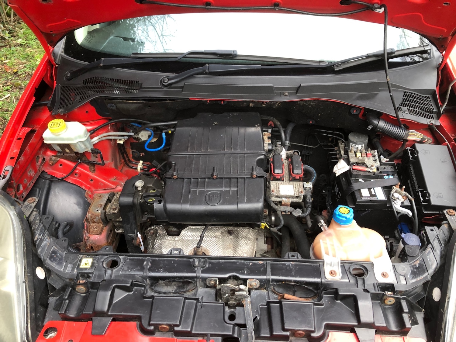 Used Fiat Grande Punto 2009 for sale - 78077590: Photo 12