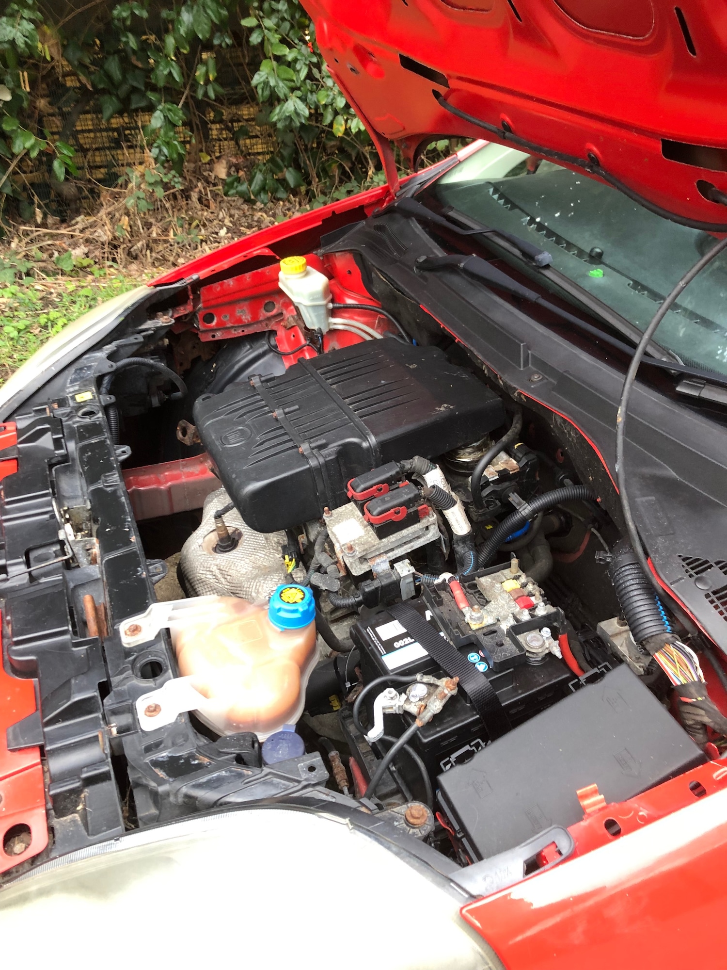 Used Fiat Grande Punto 2009 for sale - 78077590: Photo 14