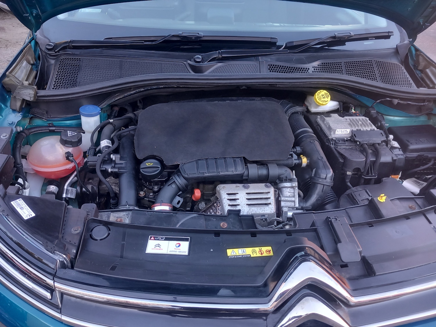 Used Citroen C4 Cactus 2018 for sale - 76663108: Photo 22