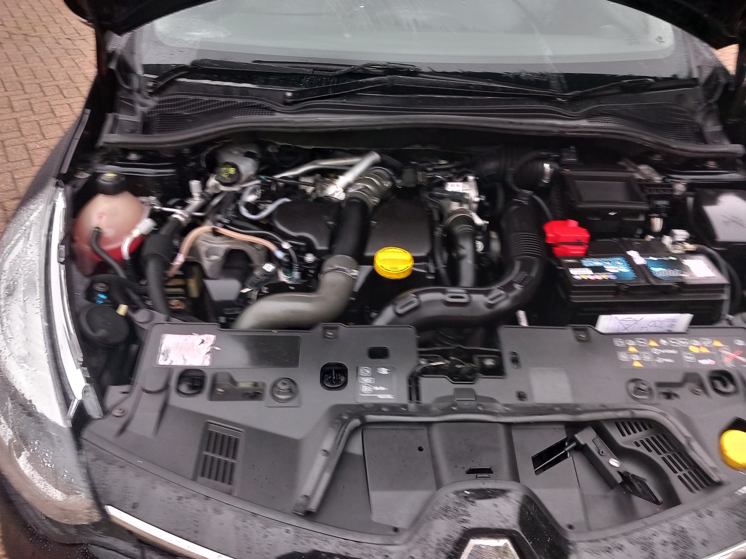 Used Renault Clio 2017 for sale - 76157768: Photo 25