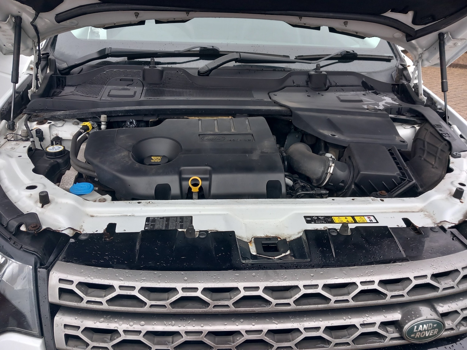 Used Land Rover Discovery Sport 2016 for sale - 77462966: Photo 22