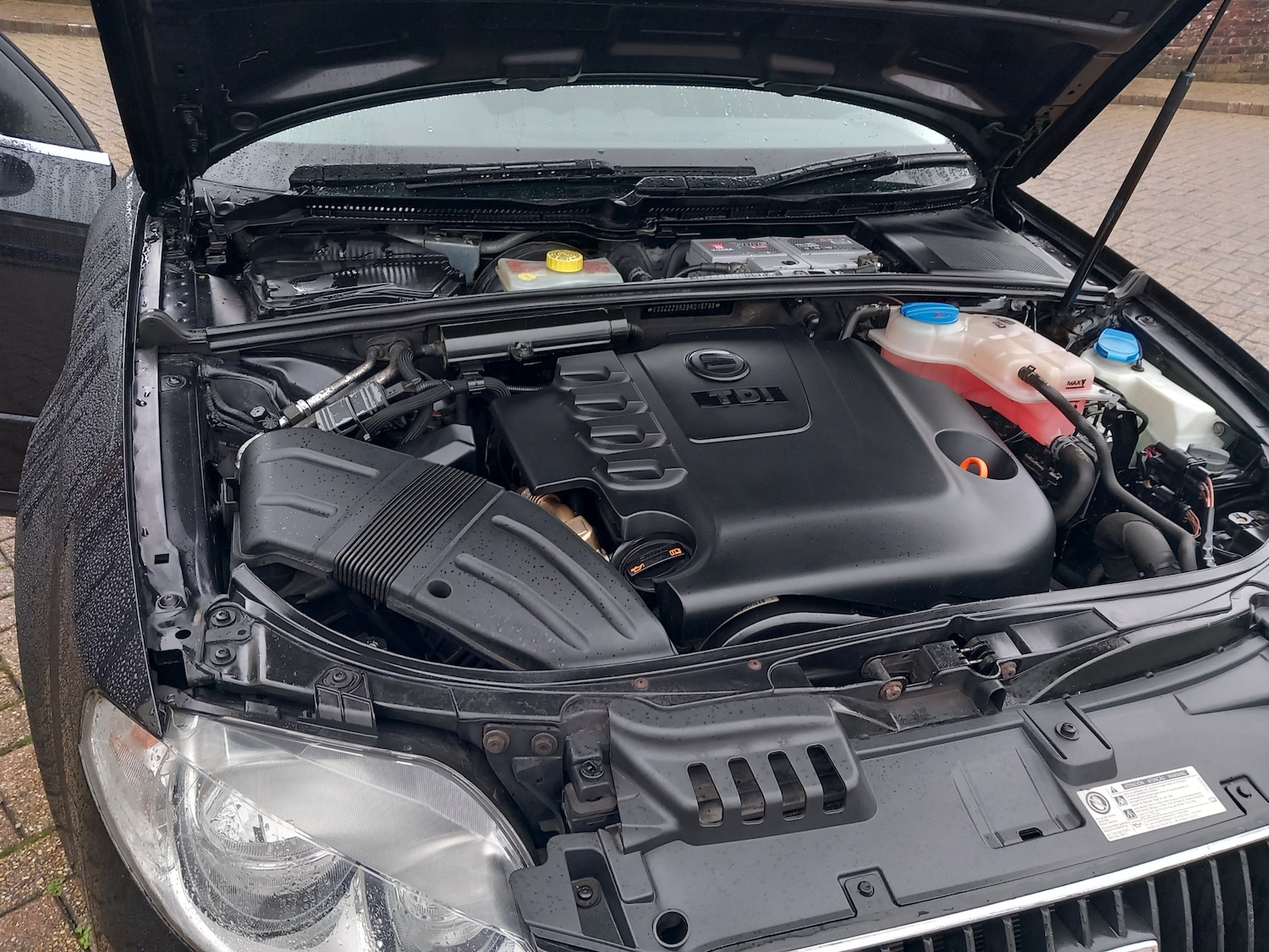 Used SEAT Exeo 2011 for sale - 77506116: Photo 27