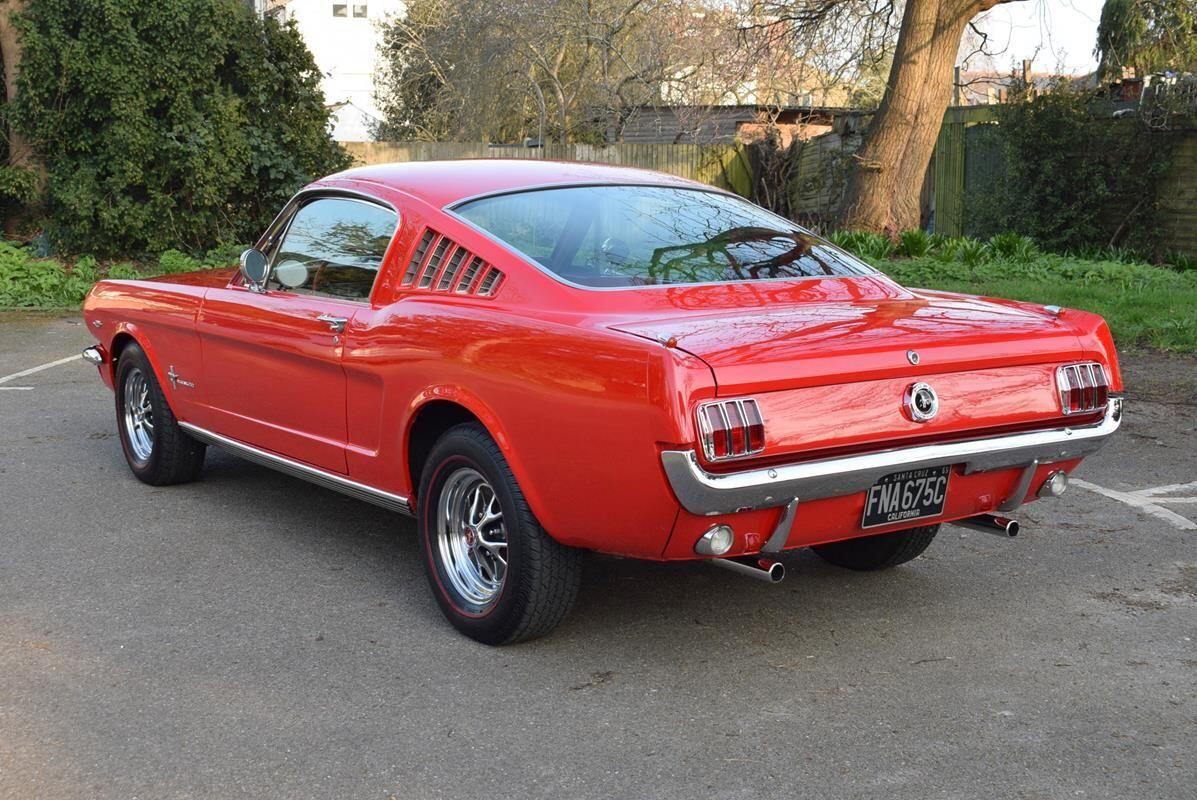 Used Ford Mustang for sale - 78205010: Photo 22