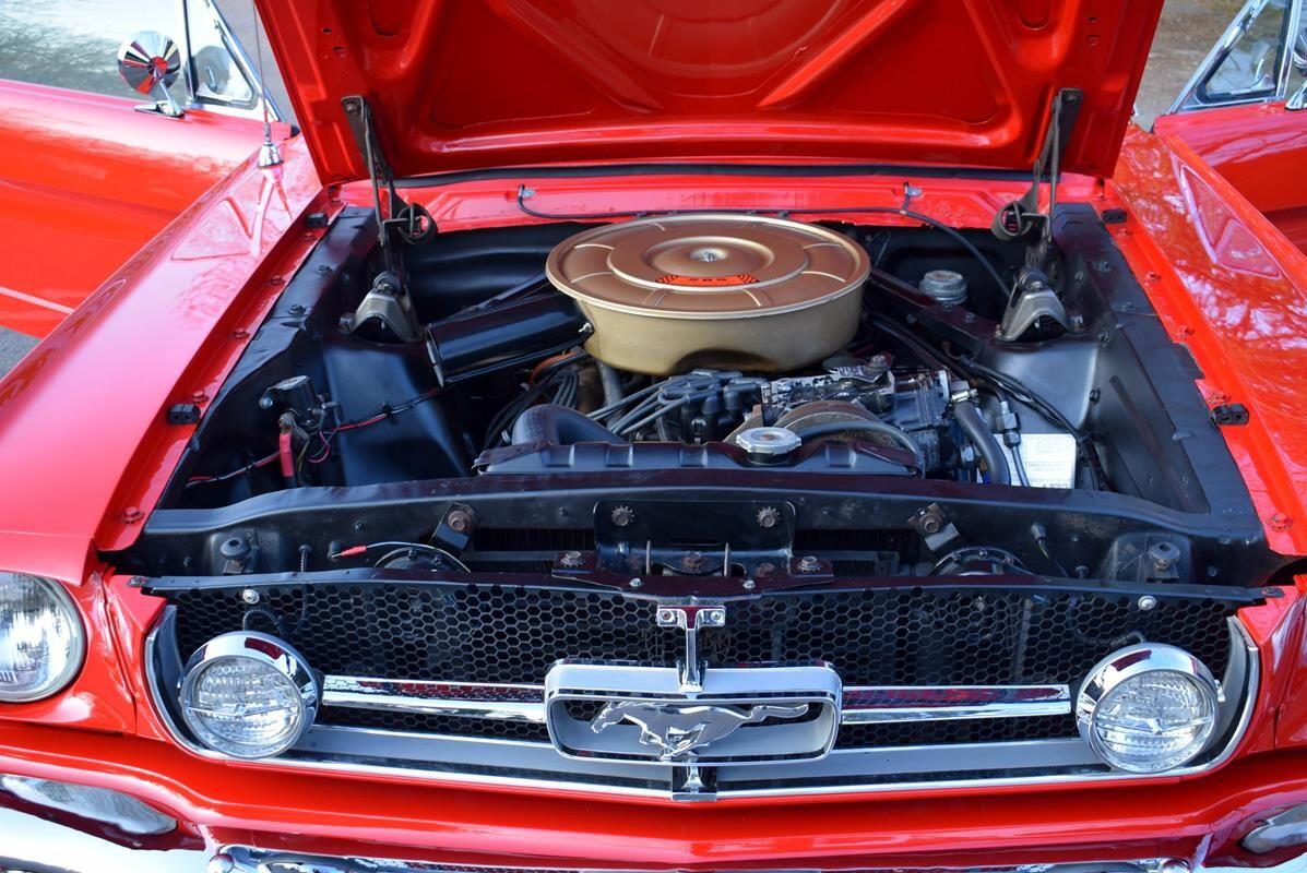 Used Ford Mustang for sale - 78205010: Photo 35