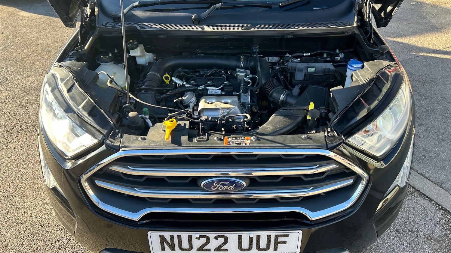 Used Ford Ecosport 2022 for sale - 76611506: Photo 8