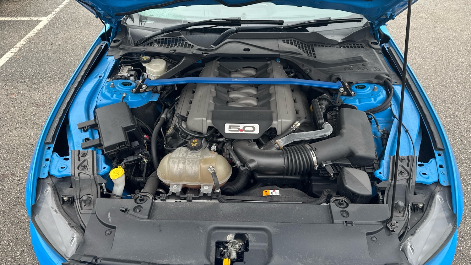 Used Ford Mustang 2018 for sale - 77179924: Photo 8