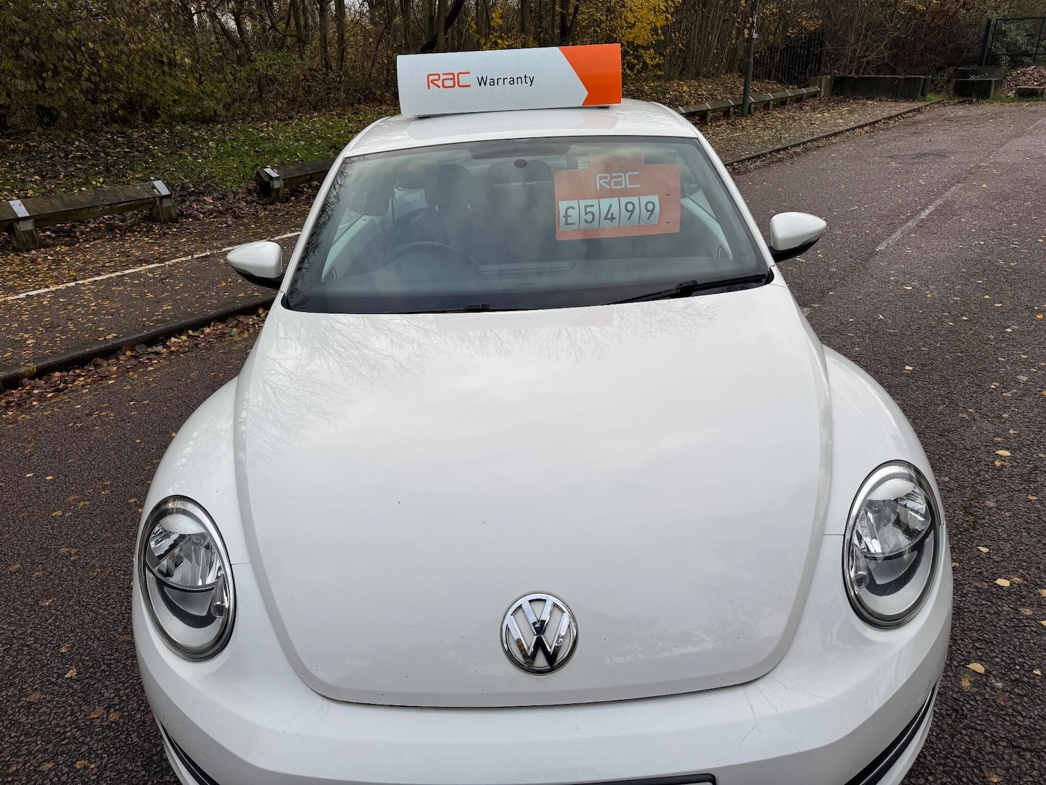 Used Volkswagen Beetle 2013 for sale - 77029569: Photo 11