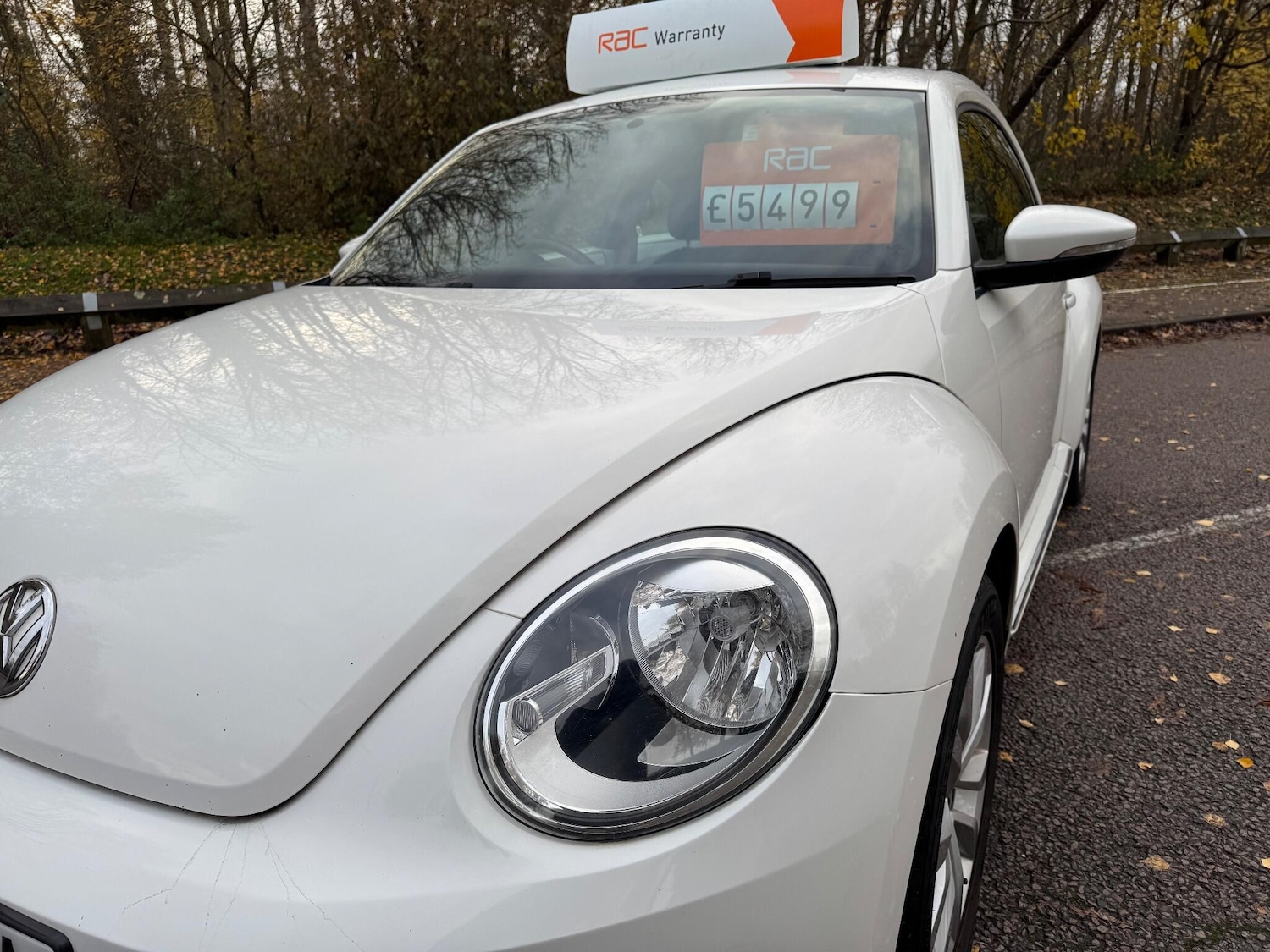 Used Volkswagen Beetle 2013 for sale - 77029569: Photo 12