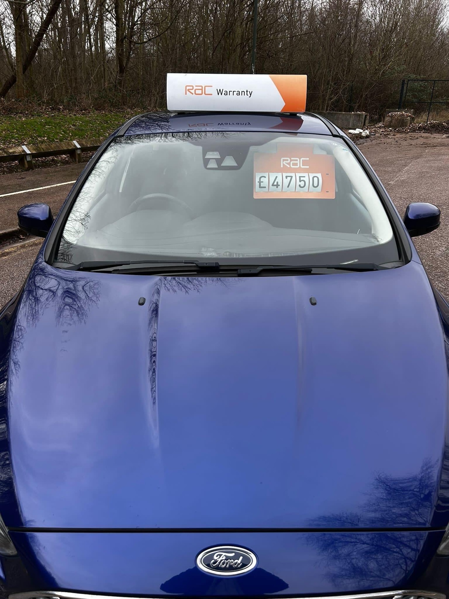 Used Ford Focus 2016 for sale - 77633232: Photo 5