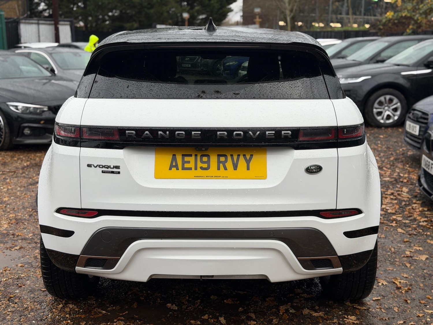 Used Land Rover Range Rover Evoque for sale - 76886664: Photo 14