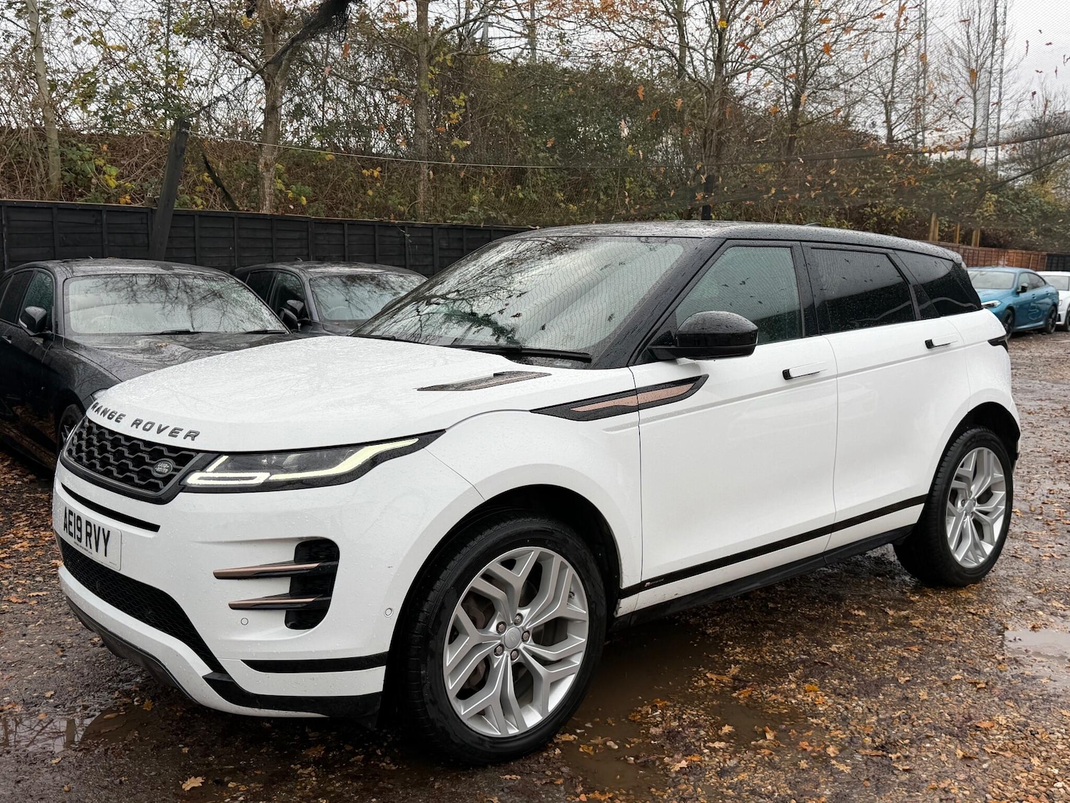 Used Land Rover Range Rover Evoque for sale - 76886664: Photo 25