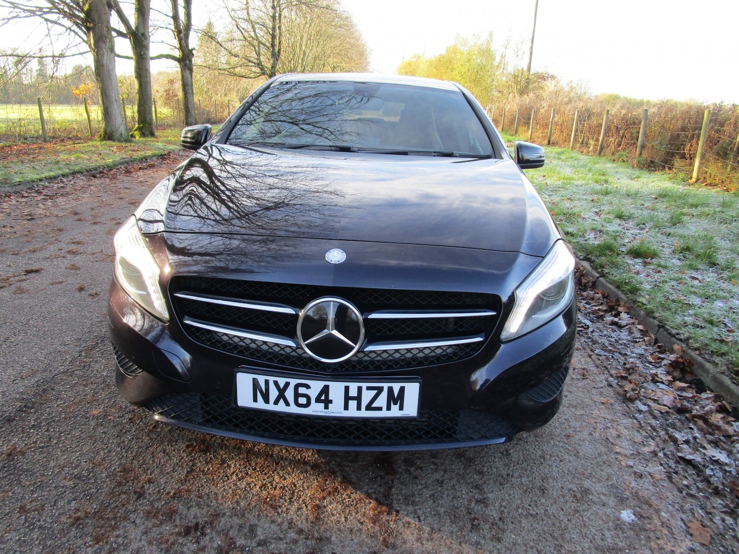 Used Mercedes-Benz A-Class 2014 for sale - 76793418: Photo 9