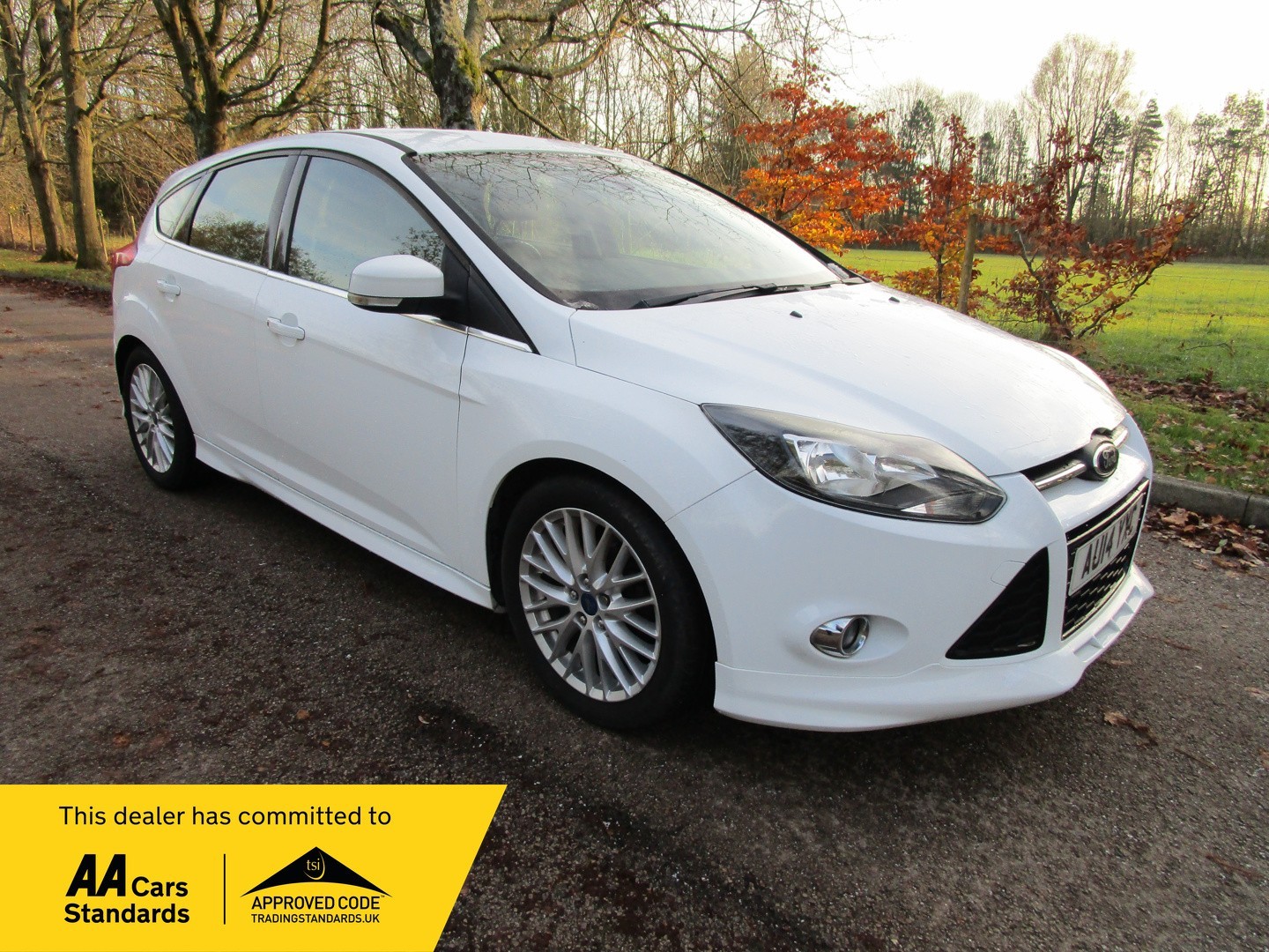 Used Ford Focus 2014 for sale - 76186763: Photo 1