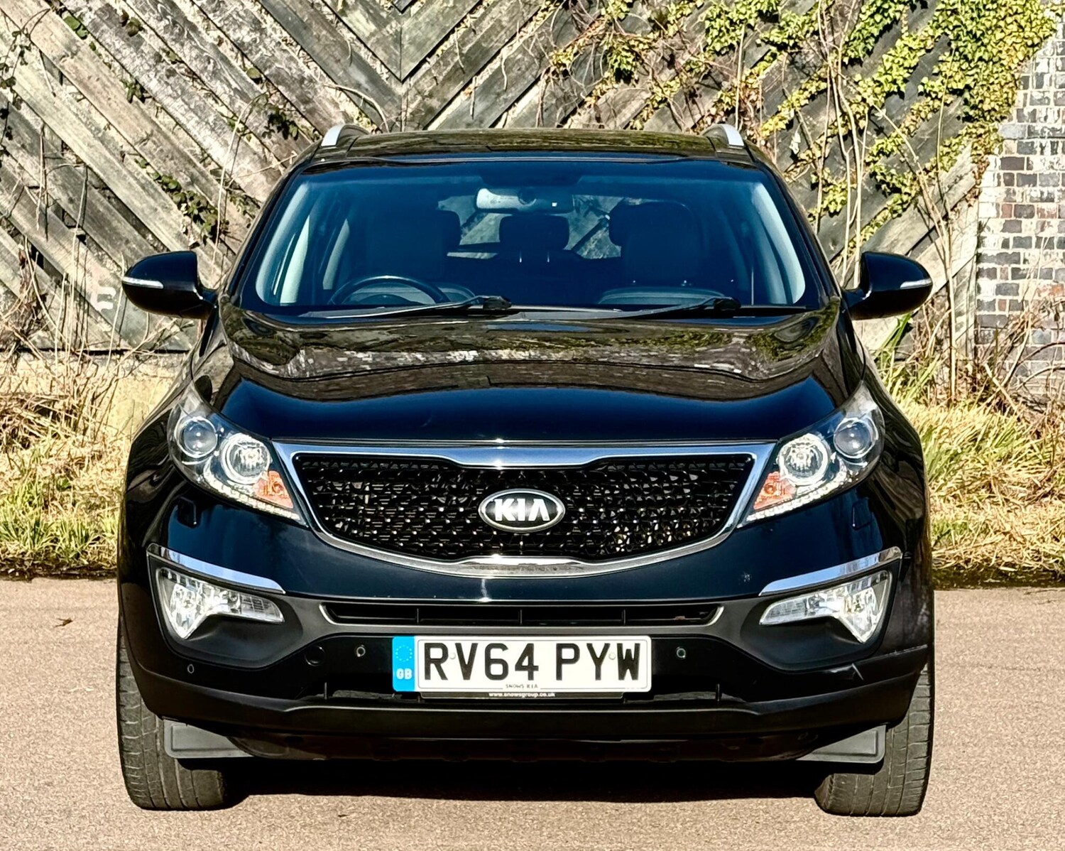 Used Kia Sportage 2014 for sale - 77997362: Photo 4