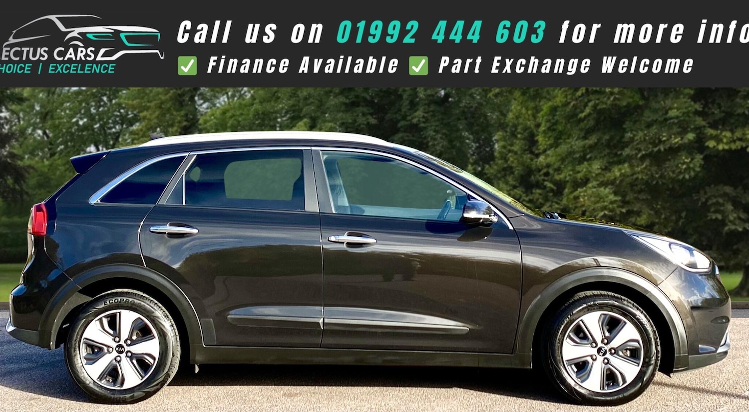 Used Kia Niro for sale - 77016956: Photo 11