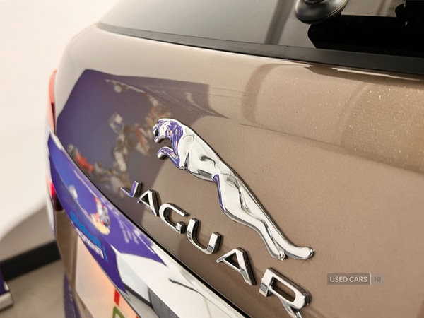 Used Jaguar XF 2014 for sale - 76887694: Photo 13