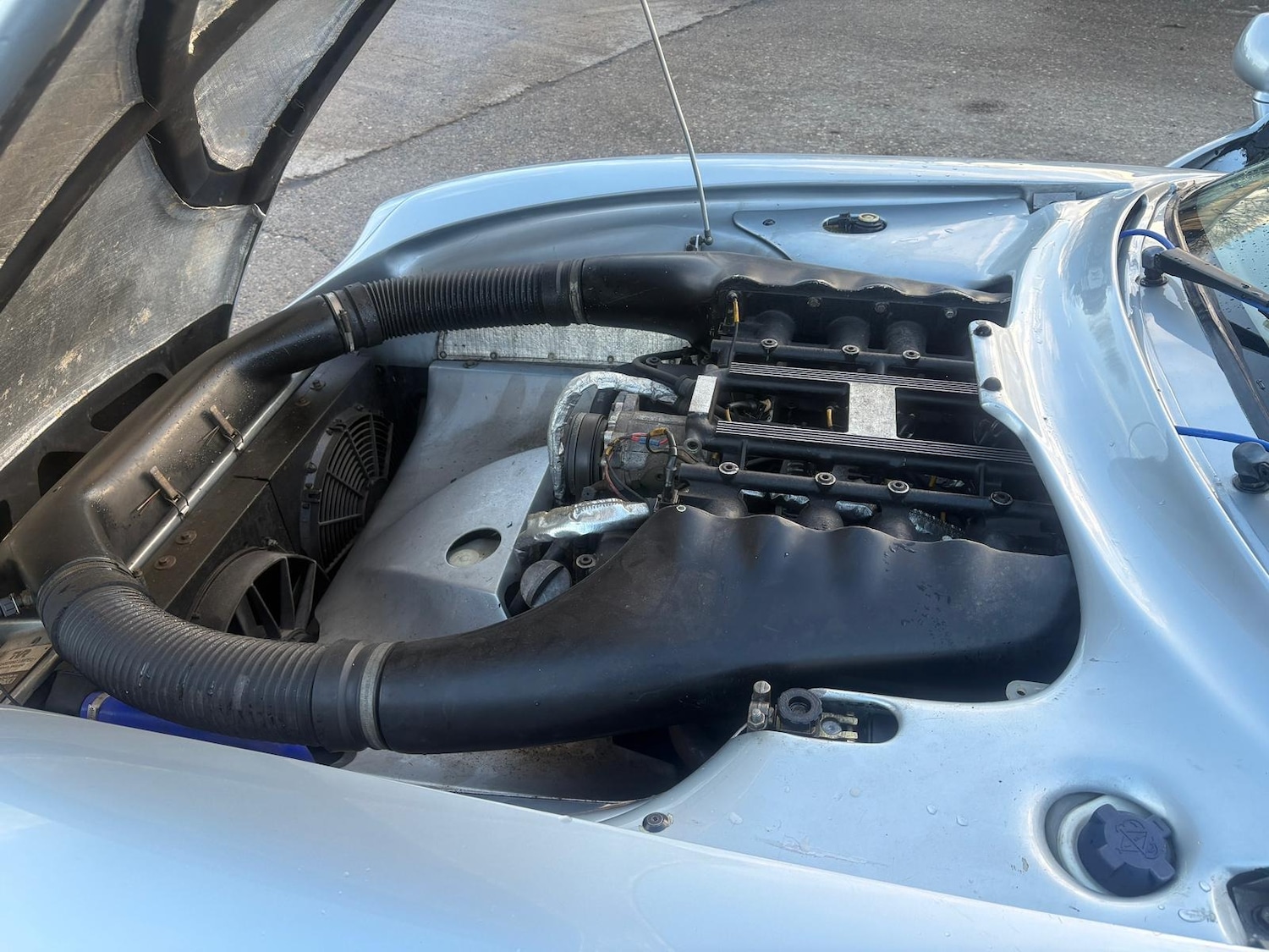 Used TVR Cerbera 1996 for sale - 76891676: Photo 17