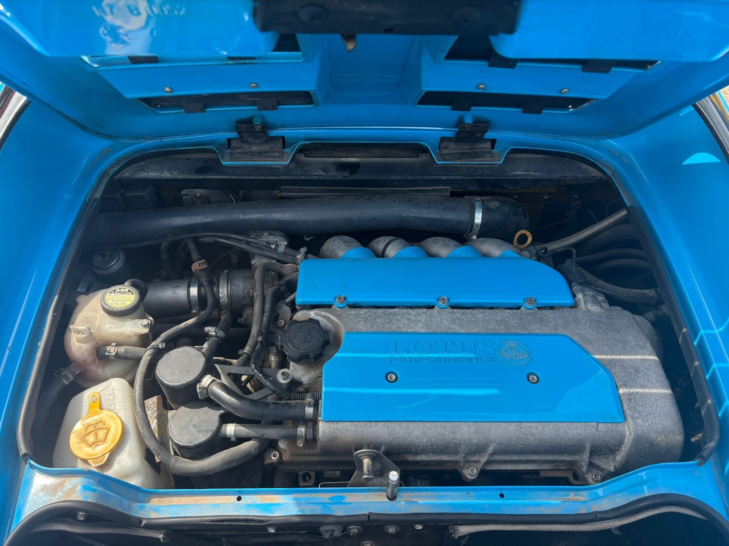 Used Lotus Elise 2007 for sale - 75119040: Photo 22