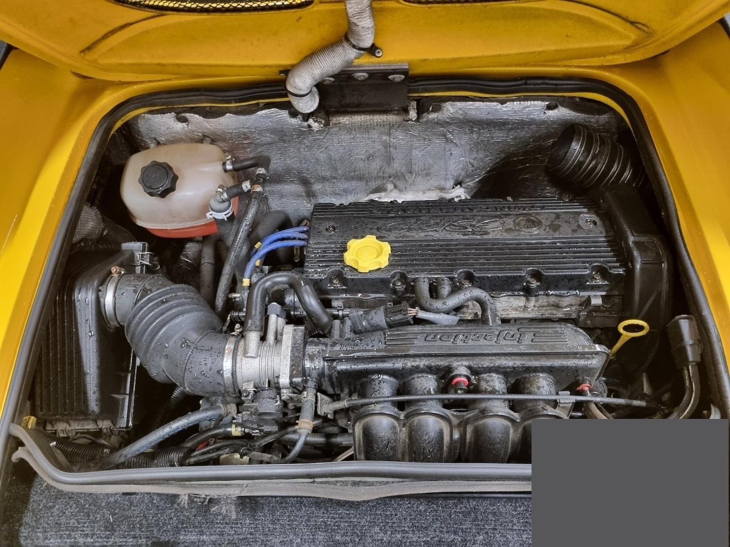 Used Lotus Elise 1999 for sale - 77931591: Photo 8