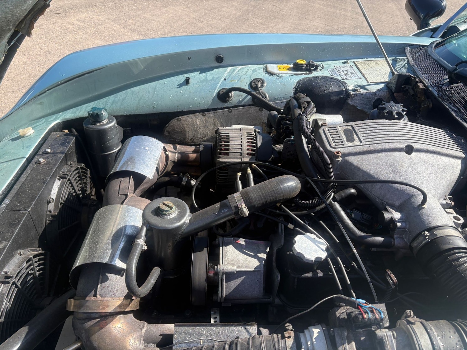 Used TVR Chimaera for sale - 78107951: Photo 13