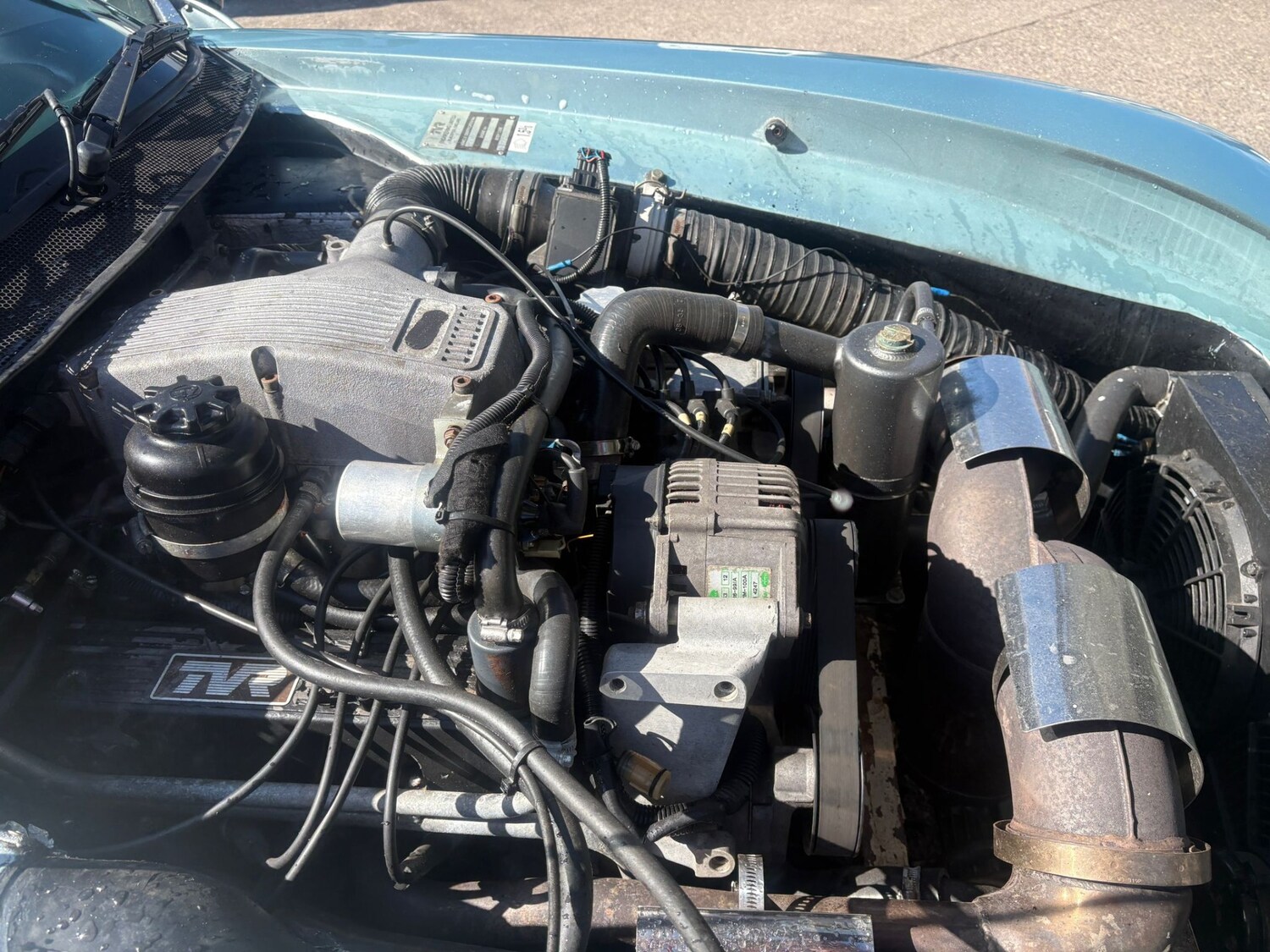 Used TVR Chimaera for sale - 78107951: Photo 9