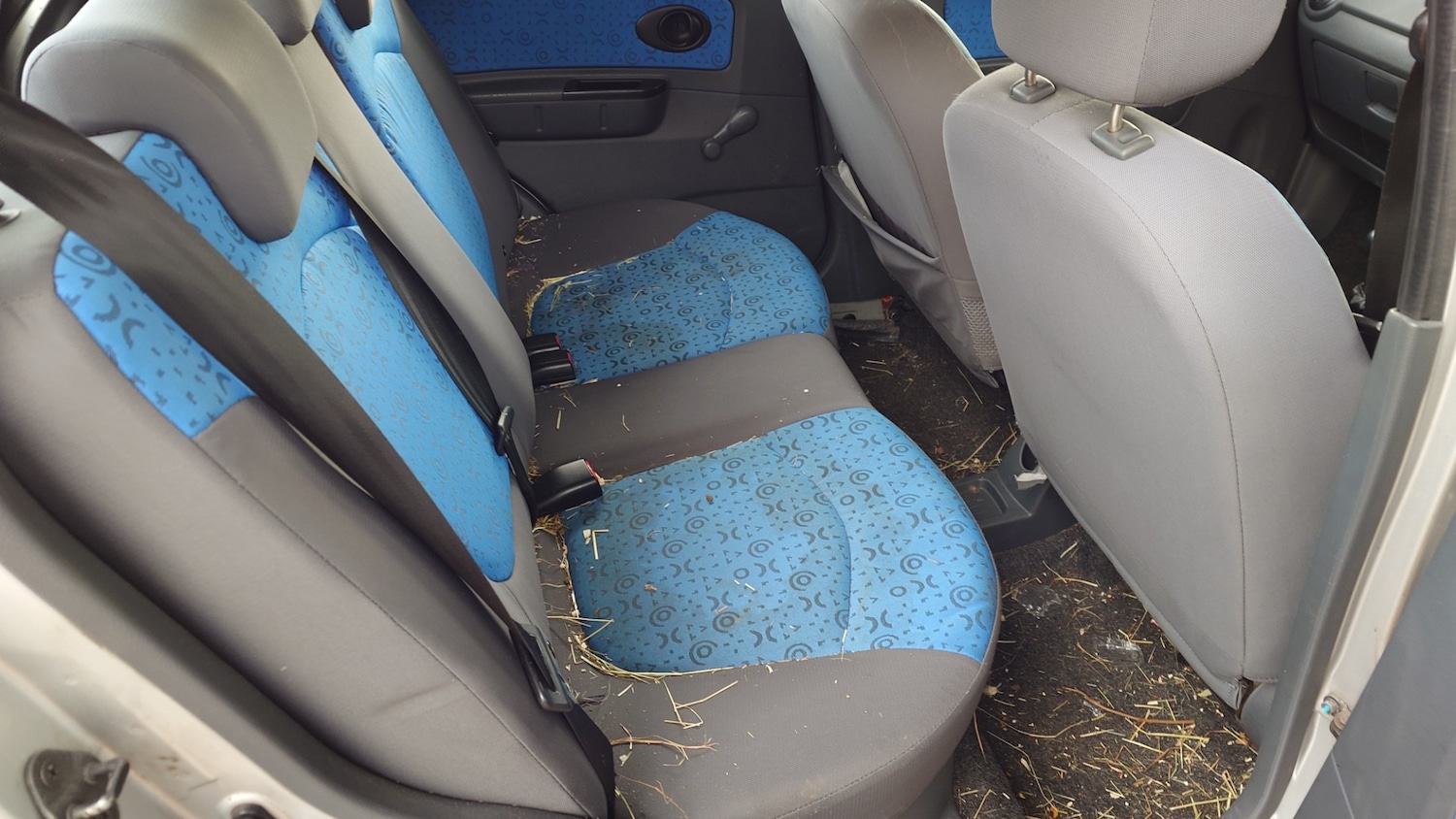 Used Chevrolet Matiz 2009 for sale - 77001024: Photo 11