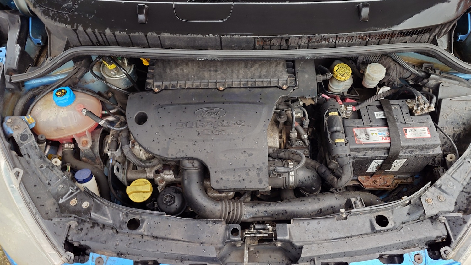 Used Ford Ka 2008 for sale - 77400201: Photo 12