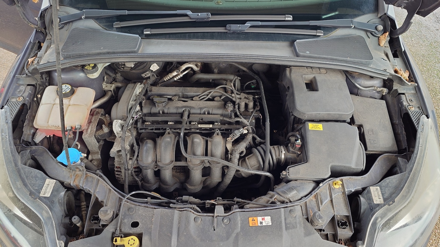 Used Ford Focus 2011 for sale - 77495100: Photo 13