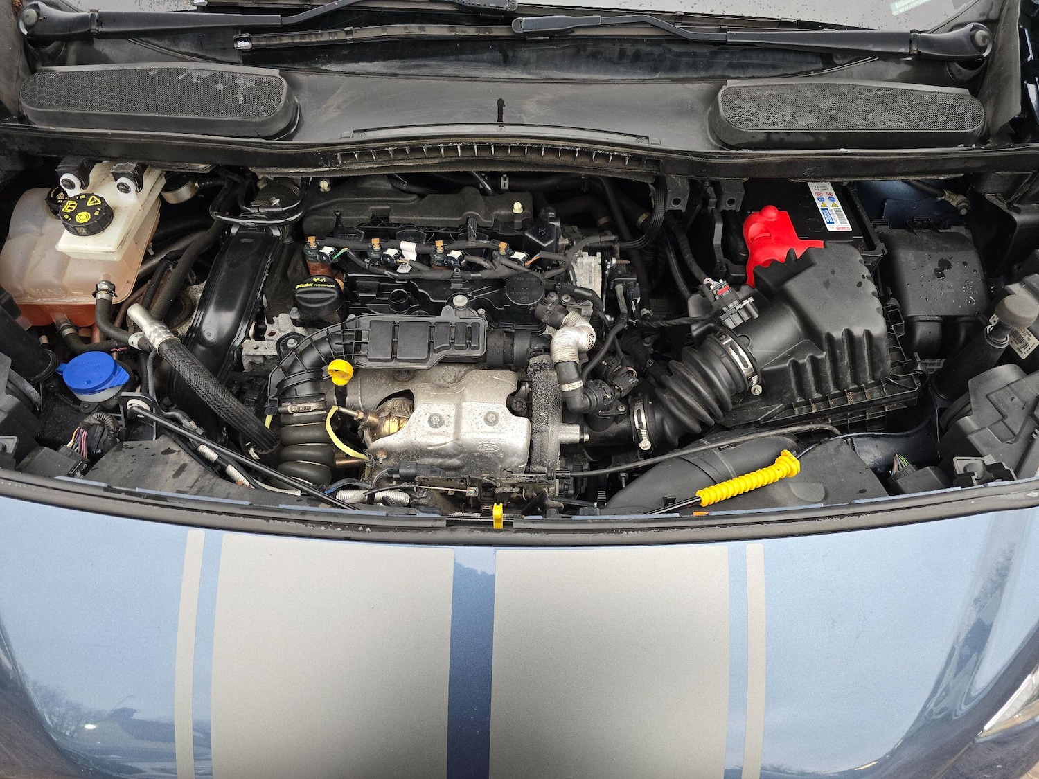 Used Ford Transit Connect 2022 for sale - 76964992: Photo 39